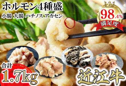 希少 近江牛 ホルモン 4種盛(小腸 大腸 ハチノス アカセン) 計1.7kg [FO43U] ホルモン 近江牛