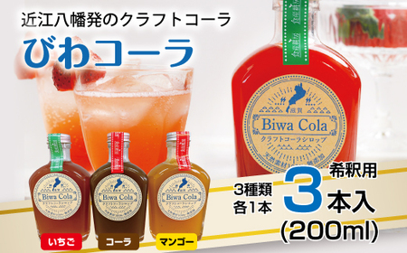 [ふるなび限定]クラフトコーラ びわコーラシロップ3本セット 送料無料 近江八幡市 人気 FN-Limited [DC04U-FN]