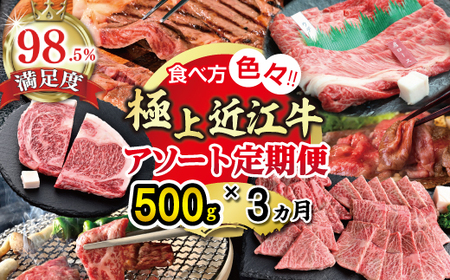 [期間限定]極上近江牛500g 食べ方色々!アソート定期便[ZZ49U]
