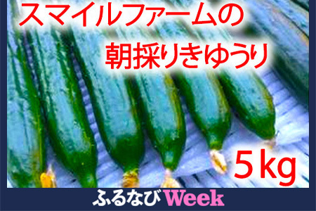 [ふるなびWEEK対象]朝採りきゆうり5kg FN-Limited[FM02U2-FN]