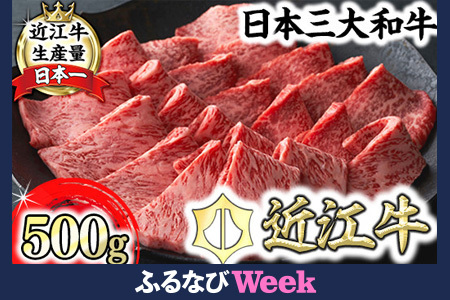[ふるなびWEEK対象]近江牛 焼肉 霜降り × 赤身 ミックス 500g 冷蔵 寛閑観 FN-Limited [FR23U-FN] 焼肉