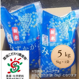 [新米][7年産] 近江米 みずかがみ 白米 5kg [FM05W]