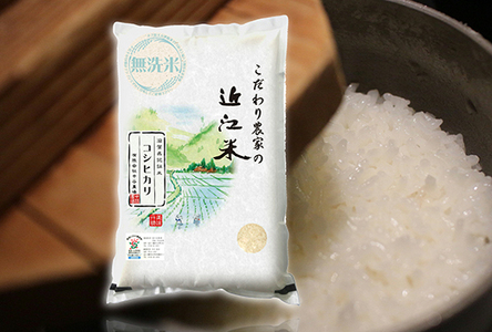 [7年産] 近江米 コシヒカリ 無洗米 5kg [BN14W] こしひかり 無洗米