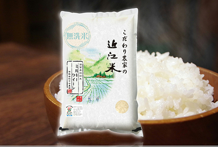 [7年産] 近江米 ミルキークイーン 無洗米 5kg [BN16W] 近江米 無洗米