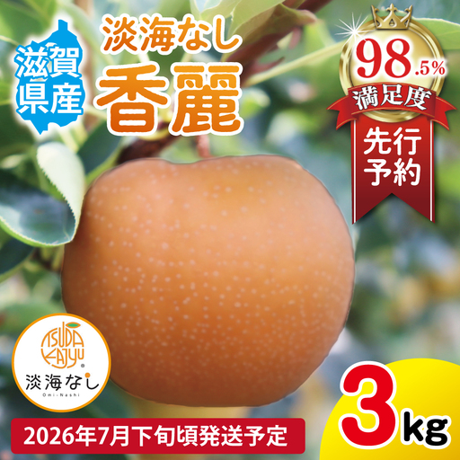 [先行予約][数量限定]淡海なし 香麗 3kg箱入り(サイズ:2L〜7L 5〜10個入り)[K126W]スイーツ 果物