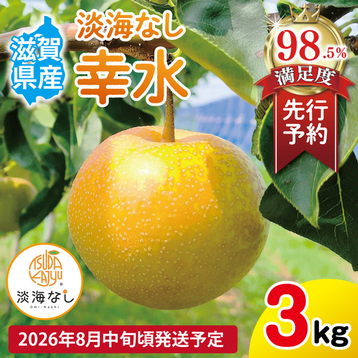 [先行予約][数量限定]淡海なし 幸水 3kg箱入り(サイズ:2L〜7L 5〜10個入り)[K127W] スイーツ 果物