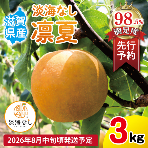[先行予約][数量限定]淡海なし 凛夏 3kg箱入り(サイズ:2L〜7L 5〜10個入り)[K128W] スイーツ 果物