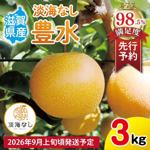 [先行予約][数量限定]淡海なし 豊水 3kg箱入り(サイズ:2L〜7L 5〜10個入り)[K129W]スイーツ 果物