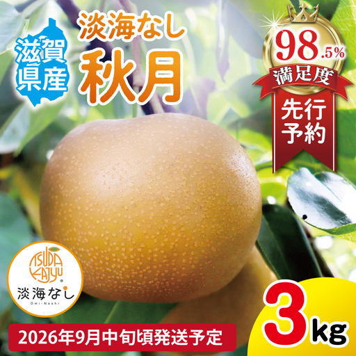 [先行予約][数量限定]淡海なし 秋月 3kg箱入り(サイズ:2L〜7L 5〜10個入り)[K130W] スイーツ 果物