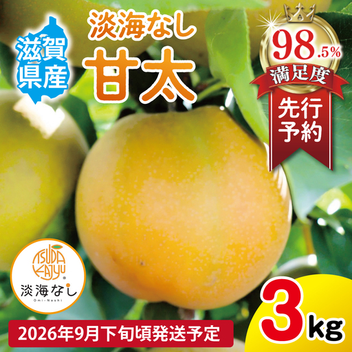 [先行予約][数量限定]淡海なし 甘太 3kg箱入り(サイズ:2L〜7L 5〜10個入り)[K131W]スイーツ 果物
