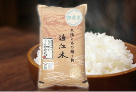 [5年産]近江米 環境こだわり栽培 ミルキークイーン 無洗米 [10kg×1][BN07SM1]
