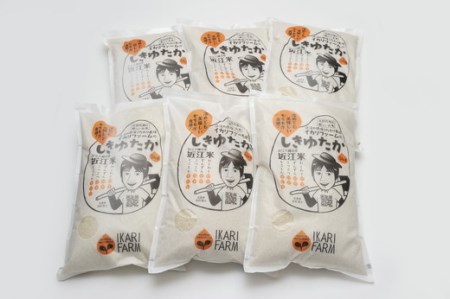 [新米][7年産] すっごいもちもち しきゆたか 白米 定期便 6カ月 で 5kg を 6回 お届け ( 1カ月 に 1回 ) [C013U1]しきゆたか