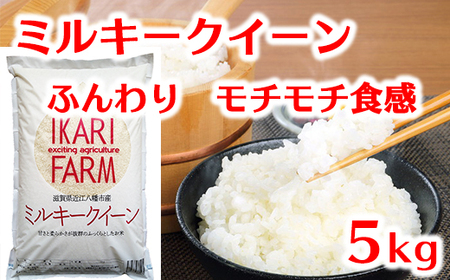 [6年産]ふっくら&もっちり!「ミルキークイーン」白米5kg[C042U](米 コメ こめ 新米 6年産 白米 はくまい ごはん ご飯 精米 みるきーくいーん ミルキークイーン 先行 予約 近江米 5キロ 5kg)