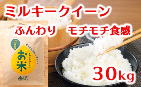 [6年産]ふっくら&もっちり!「ミルキークイーン」白米30kg[C044U](米 コメ こめ 新米 6年産 白米 はくまい ごはん ご飯 精米 みるきーくいーん ミルキークイーン 先行 予約 近江米 30キロ 30kg)