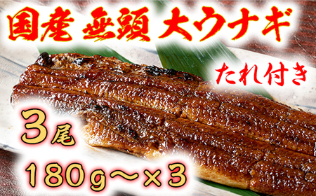 【PRキャンペーン対象】うなぎ うなぎ蒲焼 3尾 180g 以上 タレ付き 備長炭 地焼き 蒲焼 国産 うなぎ うなぎ うなぎ うなぎ うなぎ 鰻 鰻 ウナギ ウナギ