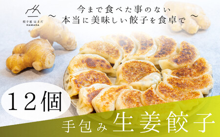 餃子 手包み生姜餃子 Sパック 12個入り 餃子屋はまだ