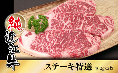 純近江牛特撰ステーキ肉 160g×3枚 [0354] | 近江牛 特選ステーキ 肉 滋賀県 日本三大黒毛和牛