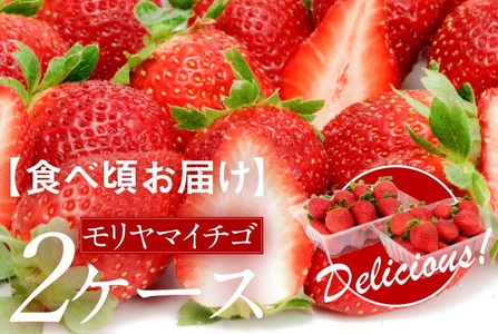 �y�H�׍����͂��z�������}�C�`�S2�P�[�X