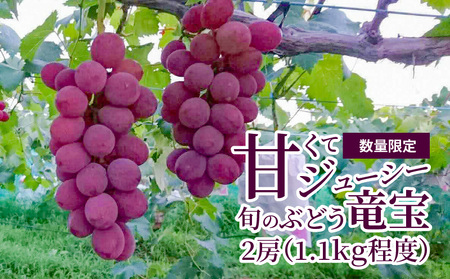 [数量限定]甘くてジューシー産直 旬のぶどう竜宝 2房 ぶどう 2房 1.2kg 旬のブドウ 産直 フルーツ 果物 大きい房 竜宝 ジューシー 高糖度 甘い 柔らかい みずみずしい 冷蔵発送 お取り寄せ お取り寄せフルーツ 贈り物 ギフト 送料無料