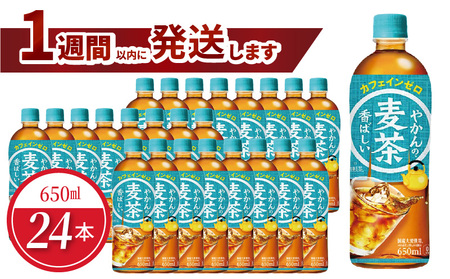 やかんの麦茶 from 爽健美茶 PET 650ml(24本入) 爽健美茶 麦茶 焙煎 大麦 カフェインゼロ 麦茶 国産大麦