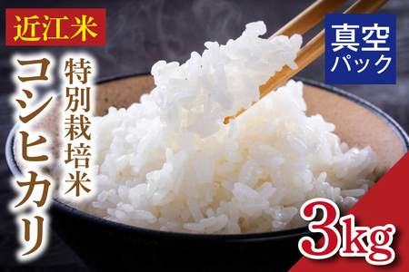 yߘa8Nzs\  ߍ]āwRVqJx@ʍ͔|ā@3Li^󍫕j