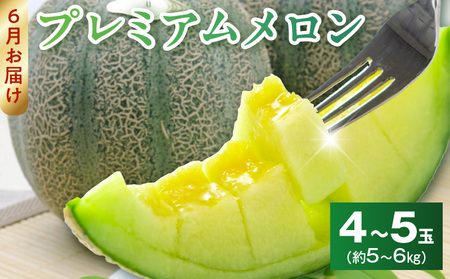 プレミアムメロン [6月お届け]