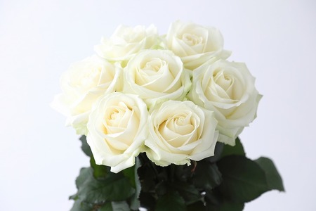 【定期便：12カ月】國枝バラ園から直送！Flower Bouquet（25本の花束）白系　　薔薇 ばら バラ 花束 お祝い プレゼント 誕生日 ギフト 贈答 記念日 クニエダ株式会社