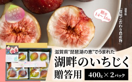 湖畔のいちじく贈答用 2パック 果物 フルーツ
