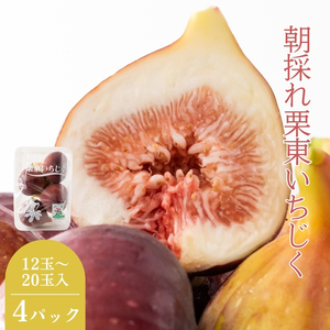 [先行予約受付中]朝採れ栗東いちじく4パック(12〜20玉)2025年7月末〜順次出荷 | 朝採れ ハウス栽培 果物 フルーツ いちじく いちぢく 無花果 イチジク 完熟 生 先行予約 滋賀県 栗東市