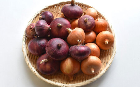 ys\F2026N6菇za炬_@ ʂ˂ 2.5kg i͔|ԒA_Ew엿E͔sgpj/ ԋʂ˂ Zbg lߍ킹 VN  Hה { / ꌧ Is /