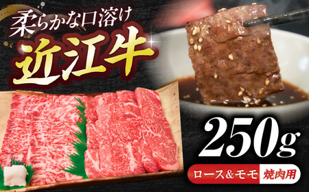 近江牛ロース&モモ(焼肉)250g 栗東市 / 有限会社 岡山[BIBE046]