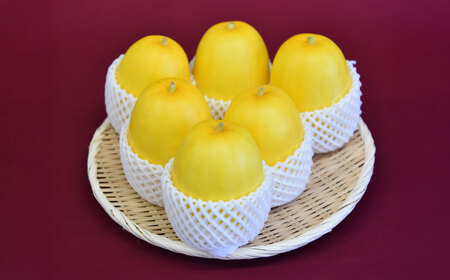 y2026N7{菇z{̖ ̂܂ i͔|ԒA_Ew엿E͔sgpj/ ܂키 Zbg lߍ킹 VN  { / ꌧ Is / _P A