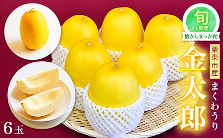 [2025年7月下旬より順次出荷]旬の野菜 懐かしまっか便 まくわうり 6玉 果物 くだもの フルーツ メロン マクワウリ