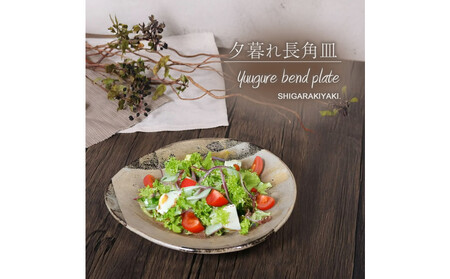 信楽焼 山逢いシリーズ たわみパスタ皿(大) 陶器 [夕暮れ]