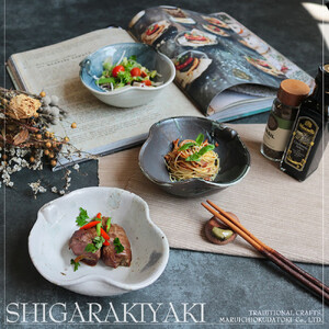 信楽焼 木の葉 小鉢 3色セット