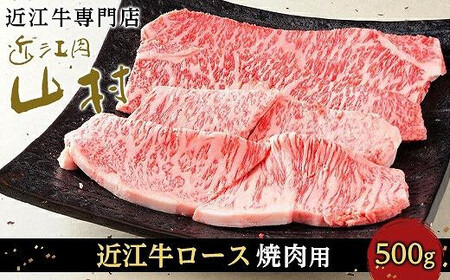 y10zߍ][X ēp 500g