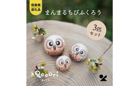 yMyāERz܂܂邿тӂ낤iLEMESj3CZbg@hc-010910