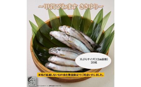 甲賀びわます “ささゆり" 天ぷらサイズ 5尾入り×4パック