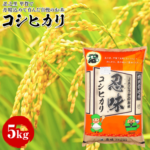 コシヒカリ 5kg 甲賀で丹精込めて育んだ自慢のお米