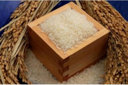 環境こだわり農産物認証!特別栽培米!農産物検査1等 鹿深米みずかがみ5kg