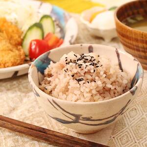 [2個セット]信楽焼 碧水飯碗 ペアセット