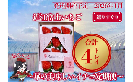 �w�ߍ]�x�m�������x�I�肷����I�؂̔��������C�`�S����ցy9�`15��1�g���C×4��z