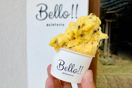 【無添加・無着色】手作り ジェラート プレミアムアソート A