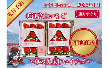 s\wߍ]xmxI肷I؂̔C`Sy9~152gCz