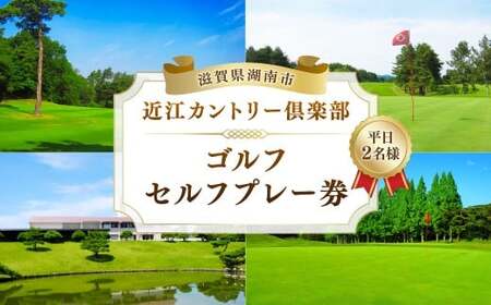 平日2名様 セルフプレー券 ゴルフ スポーツ 体験 チケット プレー券 利用券 ペア