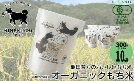 yC-104z݂Ȃt@[@I[KjbNā@Hd@L@ā@300gi2)×10mIin