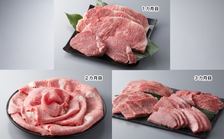 yA-037zgX ߍ]R[XiЕzRJjb mIin