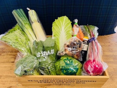 東近江市産とれたて季節の旬野菜セット4回定期便 D28 一般財団法人 愛の田園振興公社