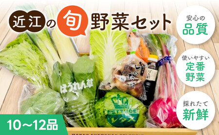 季節の旬野菜セット A51 一般財団法人 愛の田園振興公社[野菜 詰め合わせセット 旬 詰め合わせ ]