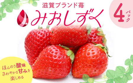 いちご (みおしずく) 2箱 (4パック 入り ) 苺 みおしずく ブランド苺 いちご イチゴ 果物 フルーツ A-B26 株式会社東近江あぐりステーション